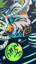Load and play video in Gallery viewer, Slightly Stoopid - Smoky White Swirl Foil Artist Exclusive Bonner Springs KS
